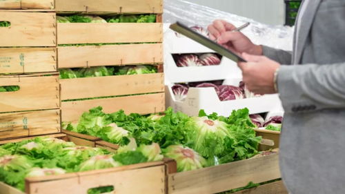 中食展聚焦乡村振兴 助力中国农产品初加工新增长