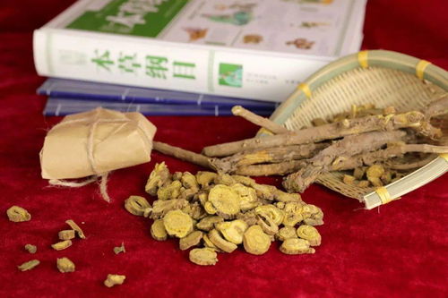 河东丰韵 2021中国农民丰收节运城活动周名特优新农产品展示一条街暨食用农产品初加工专题