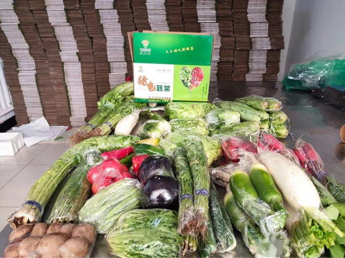 田间寻年味 特色农产品初加工，直供春节餐桌