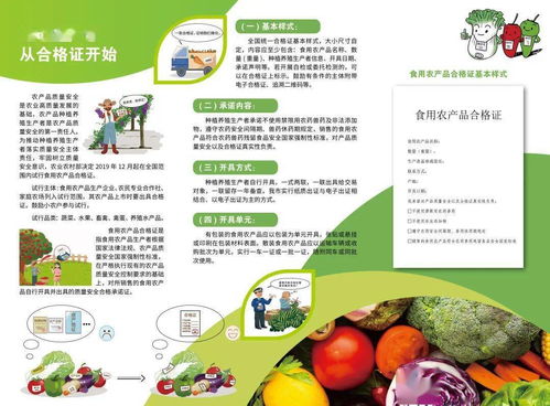 食用农产品初加工 为农产品赋予“身份证”，守护餐桌安全