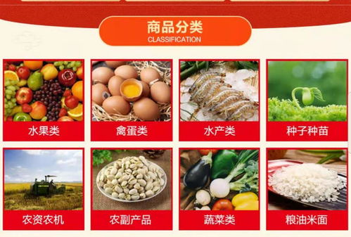 农产品综合市场 绿色健康生活的首选与食用农产品初加工的变革性力量